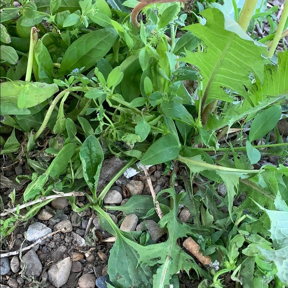 Meet your Posher, Jordana - Picture 1 of 1